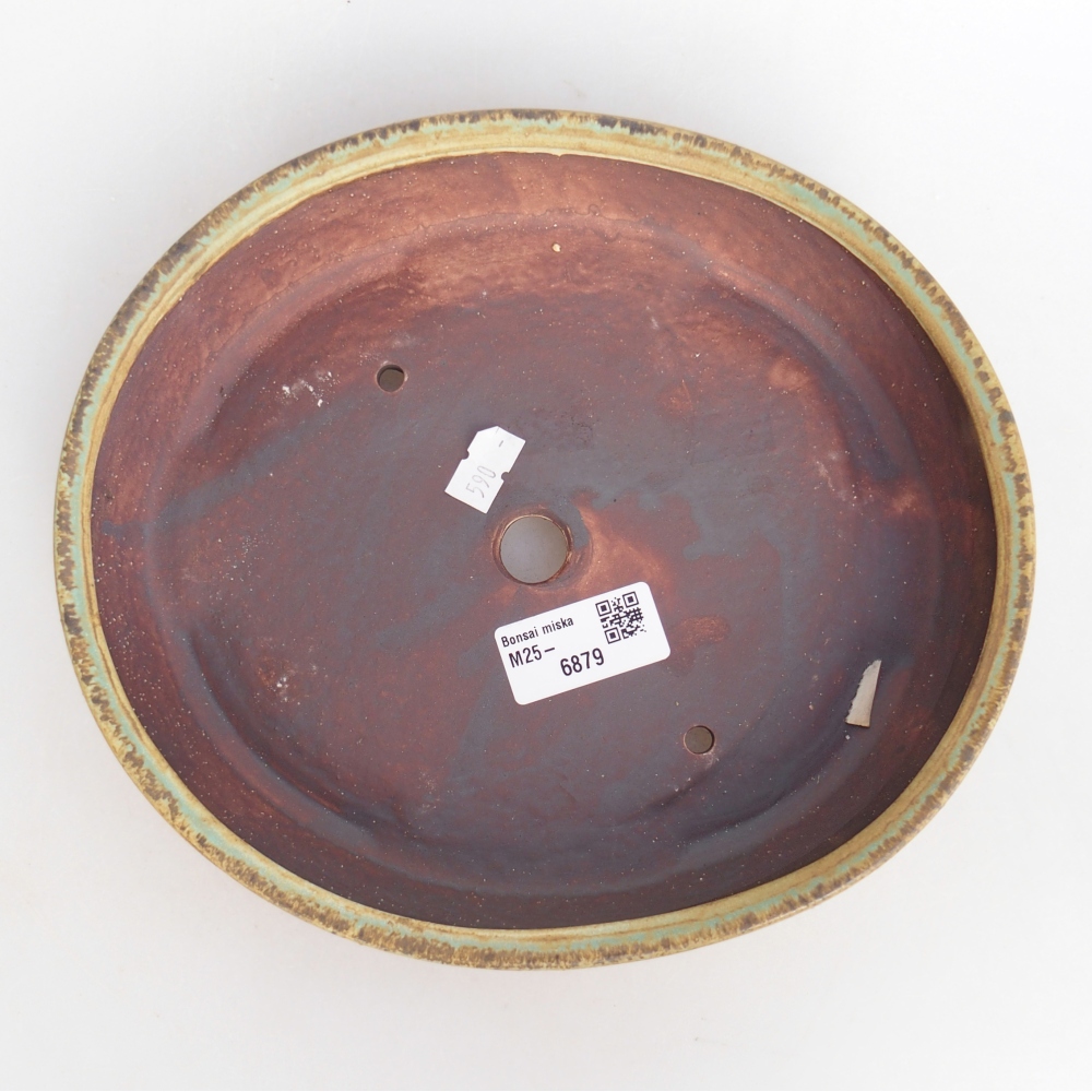 Ciotola bonsai in ceramica 22,5 x 20 x 4,5 cm, verde