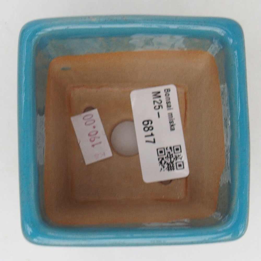 Ciotola bonsai in ceramica 7,5 x 7,5 x 7 cm, colore blu