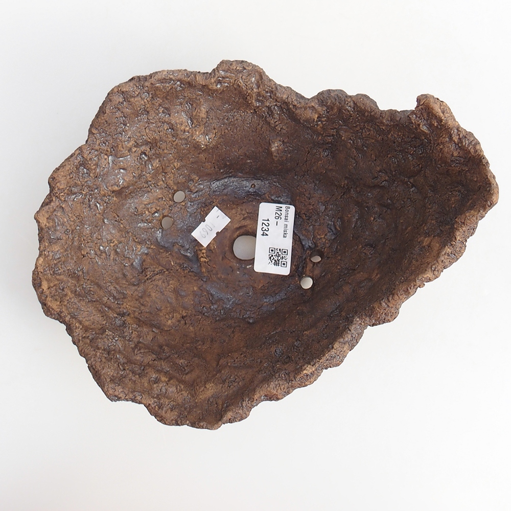 Conchiglia in ceramica 19 x 16 x 14 cm , colore marrone