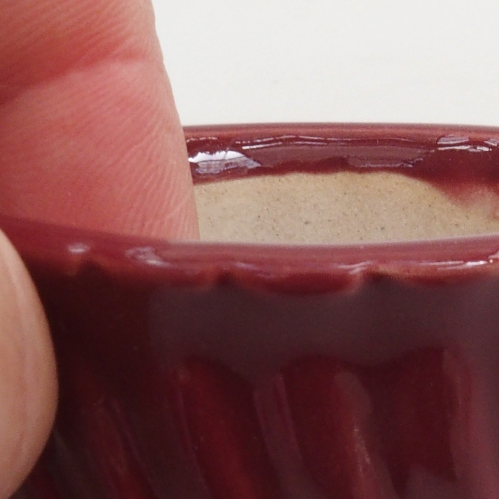 Mini bonsai 5 x 5 x 2,5 cm, colore bordeaux