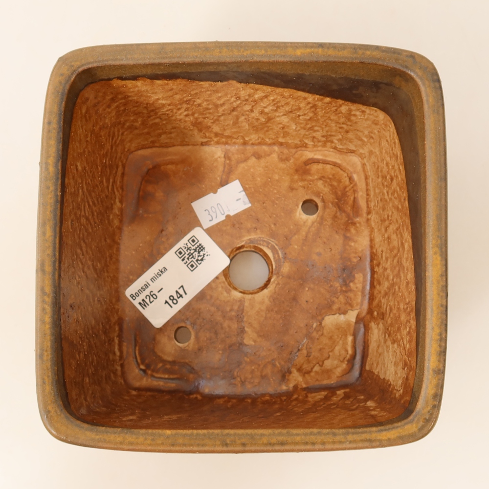 Ciotola bonsai in ceramica 13 x 13 x 8 cm, marrone