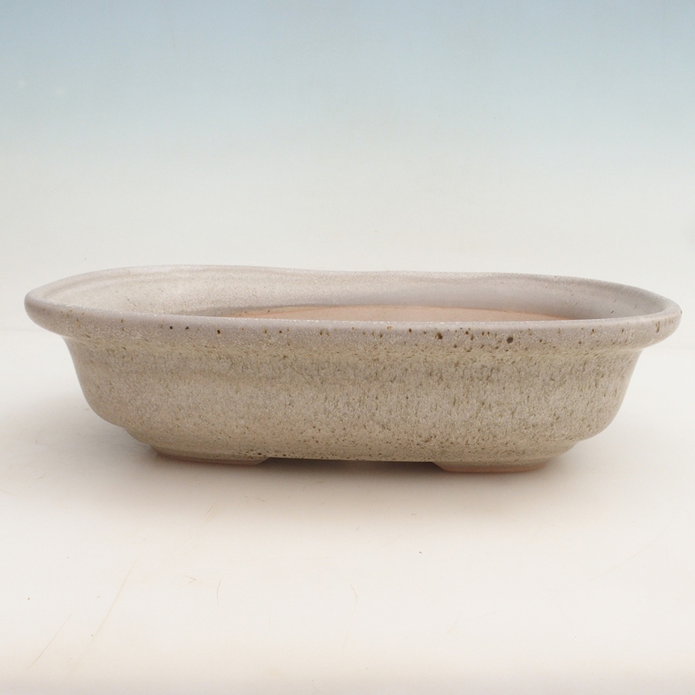 Ciotola bonsai + piattino H25 - 23 x 17 x 5,5 cm - beige