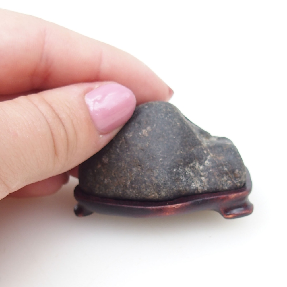 Suiseki - Pietra con DAI (base in legno)