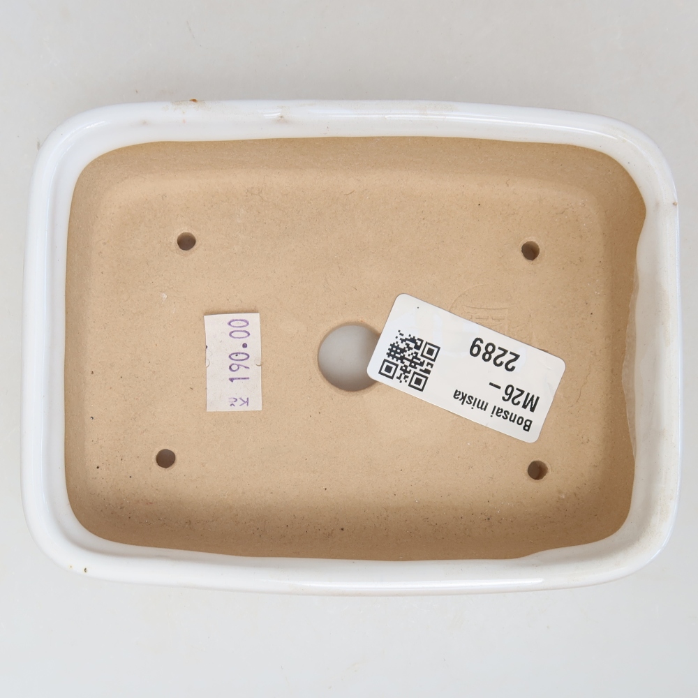 Vaso da bonsai in ceramica 13 x 9,5 x 3,5 cm, colore bianco