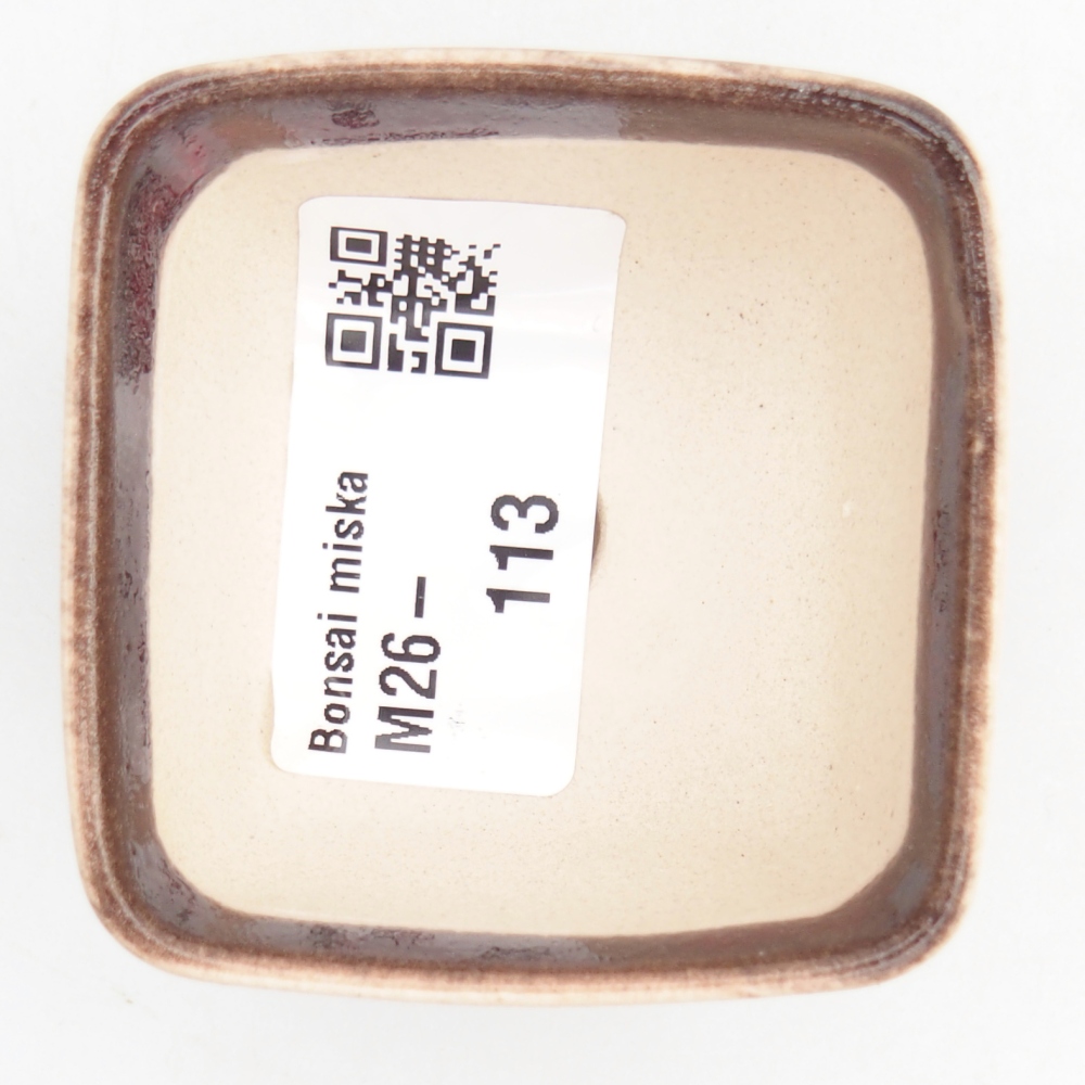 Mini bonsai 5 x 5 x 3 cm, colore rosso