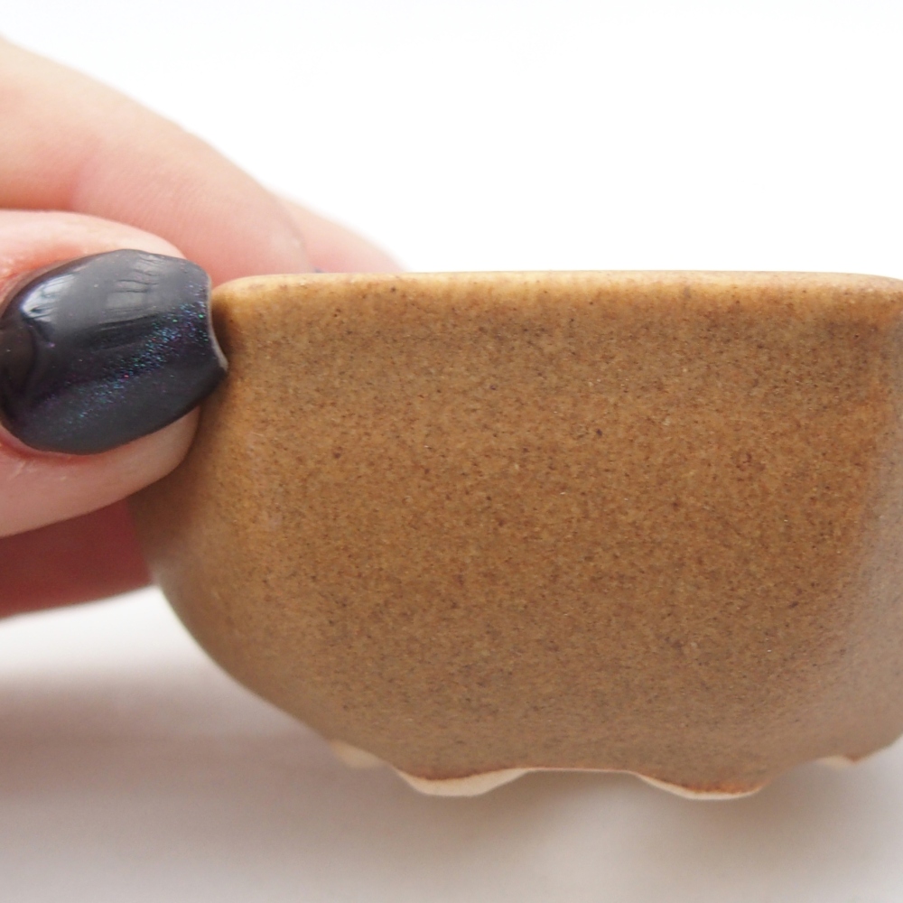 Ciotola per mini bonsai 7 x 6 x 3 cm, marrone