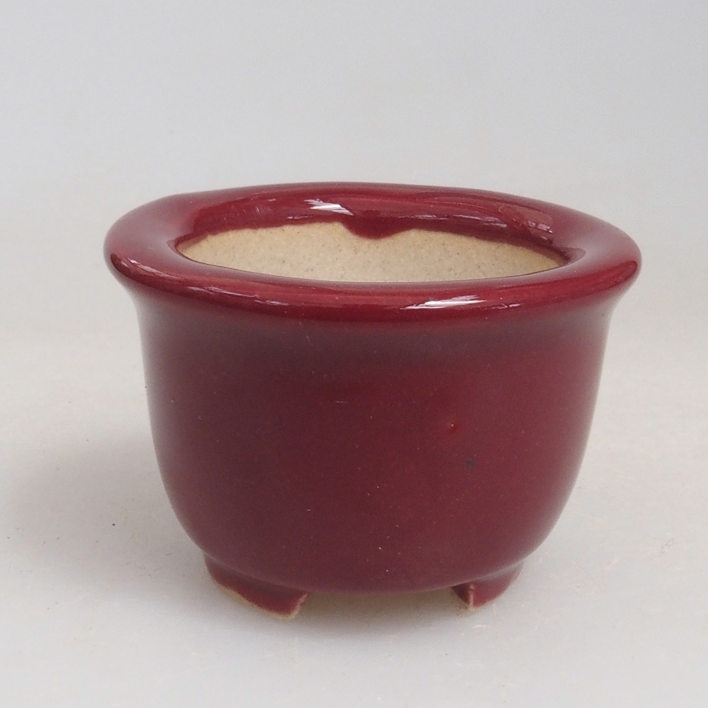 Ciotola per mini bonsai 3,5 x 3,5 x 2,5 cm, bordeaux