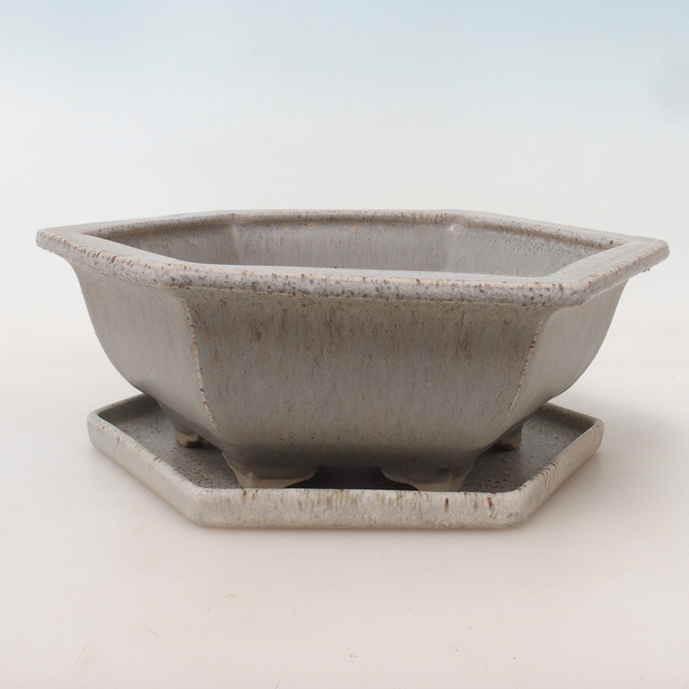 Ciotola bonsai + piattino H53 - 19 x 21,5 x 7 cm - beige