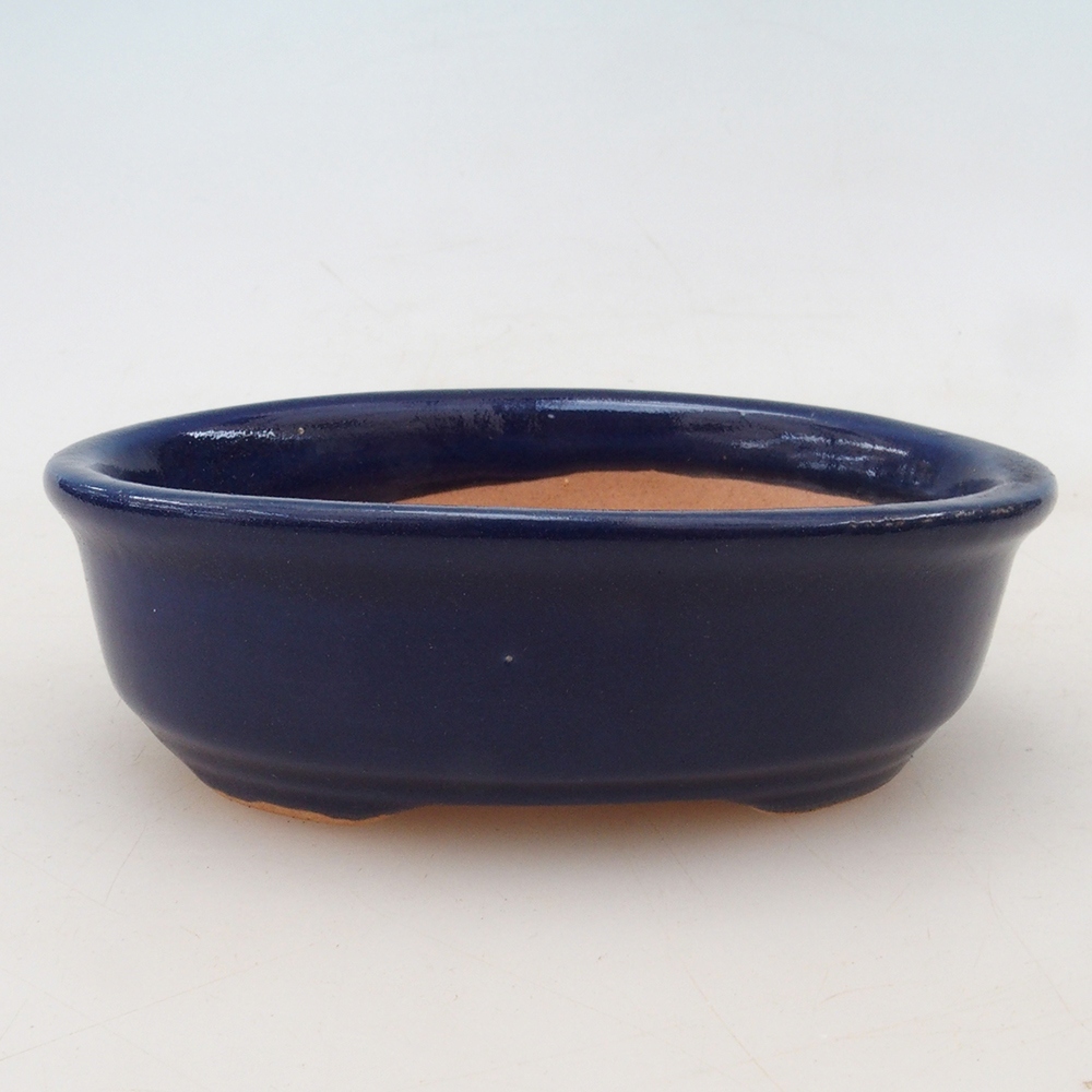 Ciotola bonsai + piattino H04 - blu