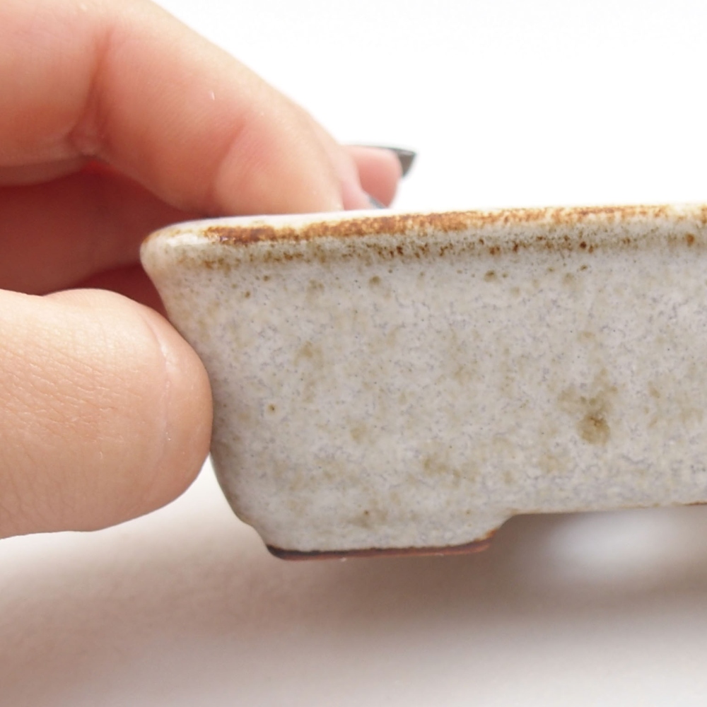 Ciotola bonsai in ceramica 22 x 17 x 5 cm, verde