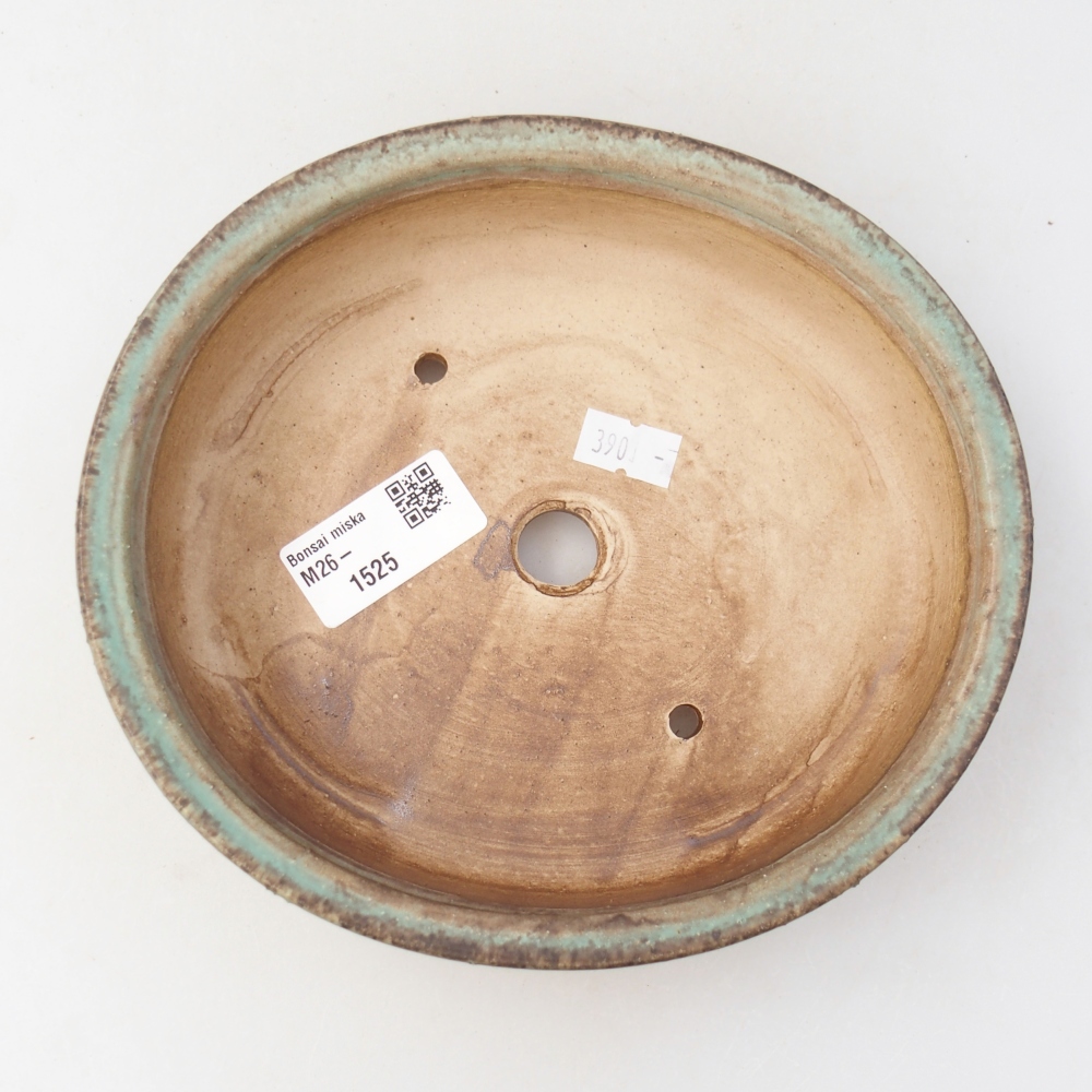 Ciotola per bonsai in ceramica 17,5 x 16 x 4,5 cm, verde