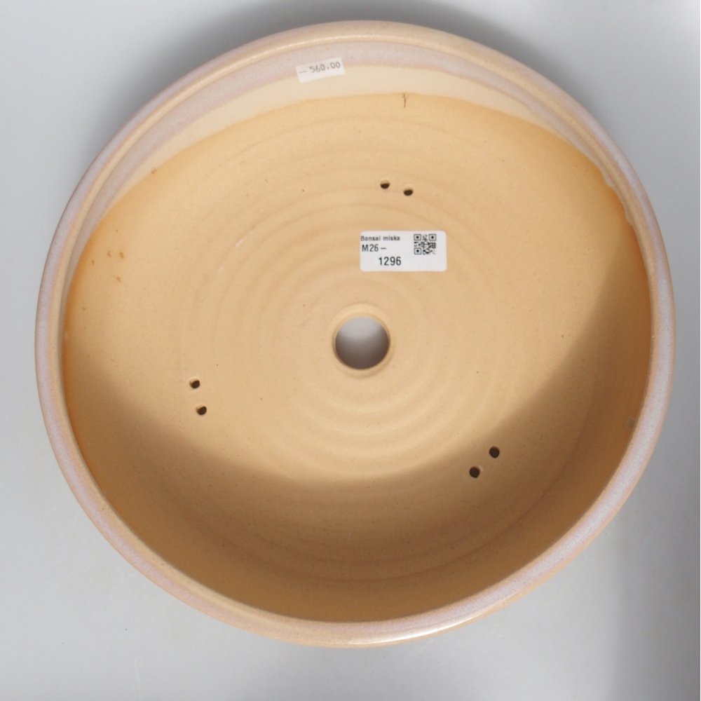 Ciotola bonsai in ceramica 26 x 26 x 7 cm, colore beige