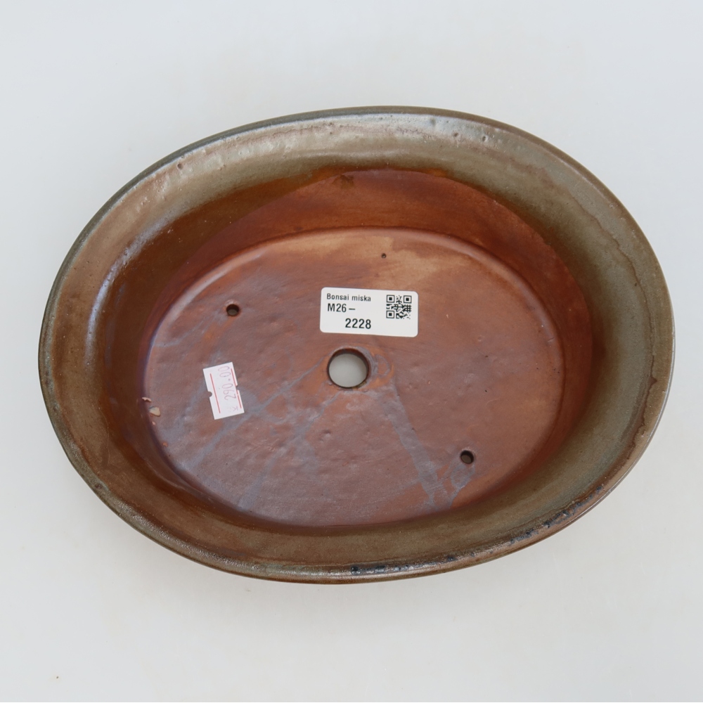Vaso da bonsai in ceramica 22 x 17,5 x 6,5 cm, colore marrone