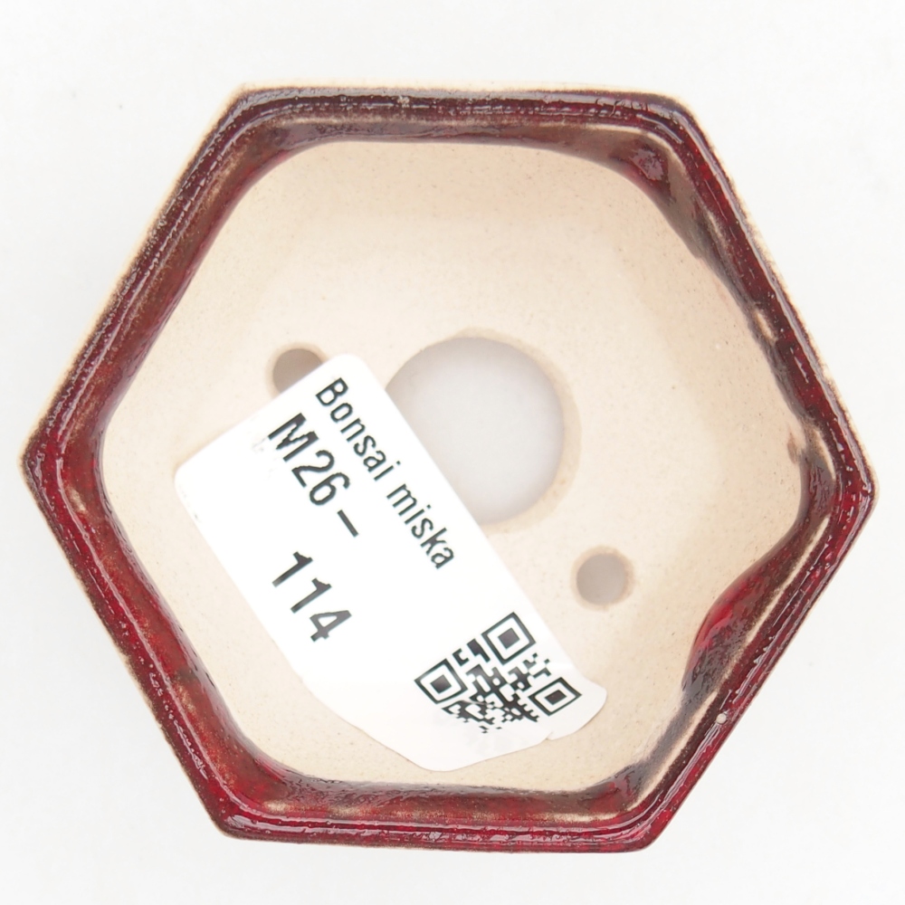 Mini bonsai 6 x 5,5 x 3 cm, colore rosso