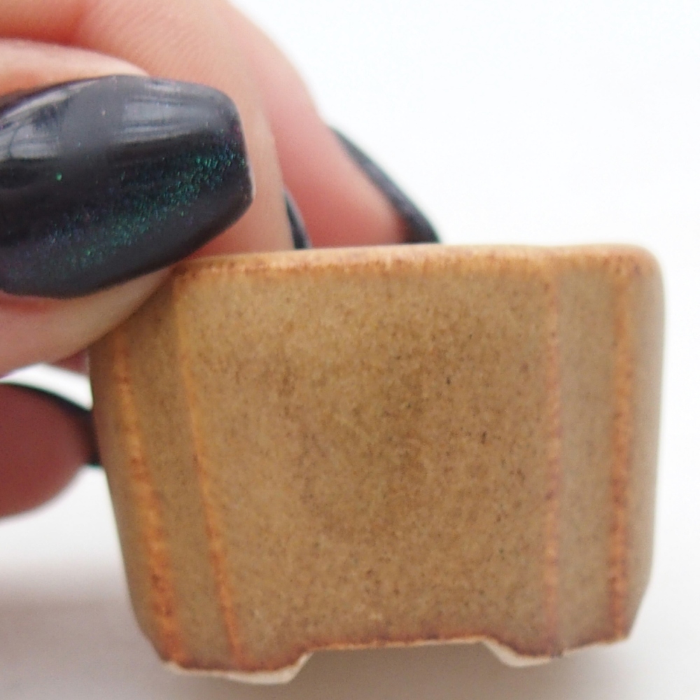 Mini bonsai 3,5 x 3,5 x 2,5 cm, marrone