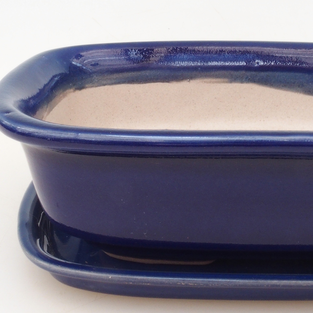 Ciotola bonsai + piattino H02 - blu