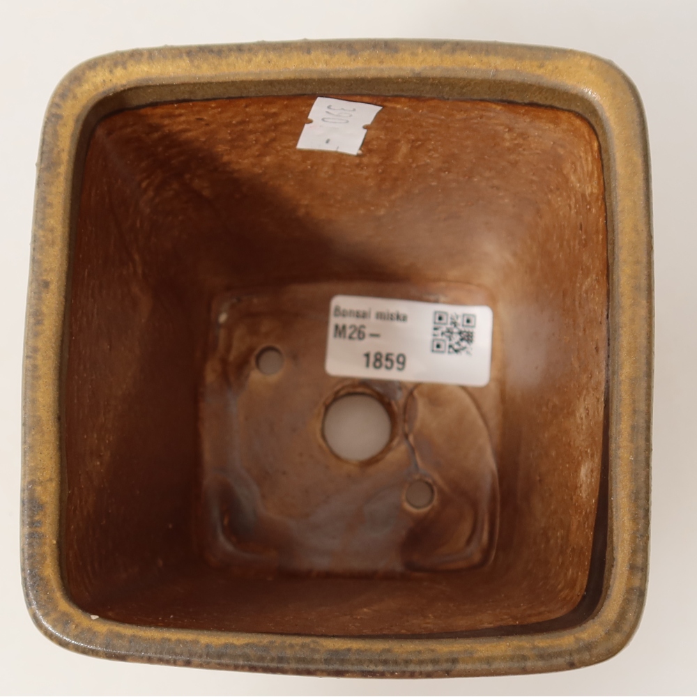 Vaso da bonsai in ceramica 10,5 x 10,5 x 12 cm, colore marrone