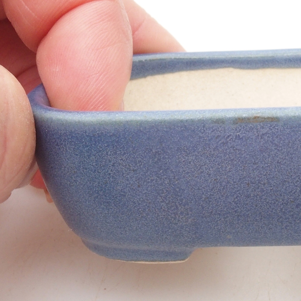 Mini bonsai 7 x 5,5 x 2 cm, colore blu