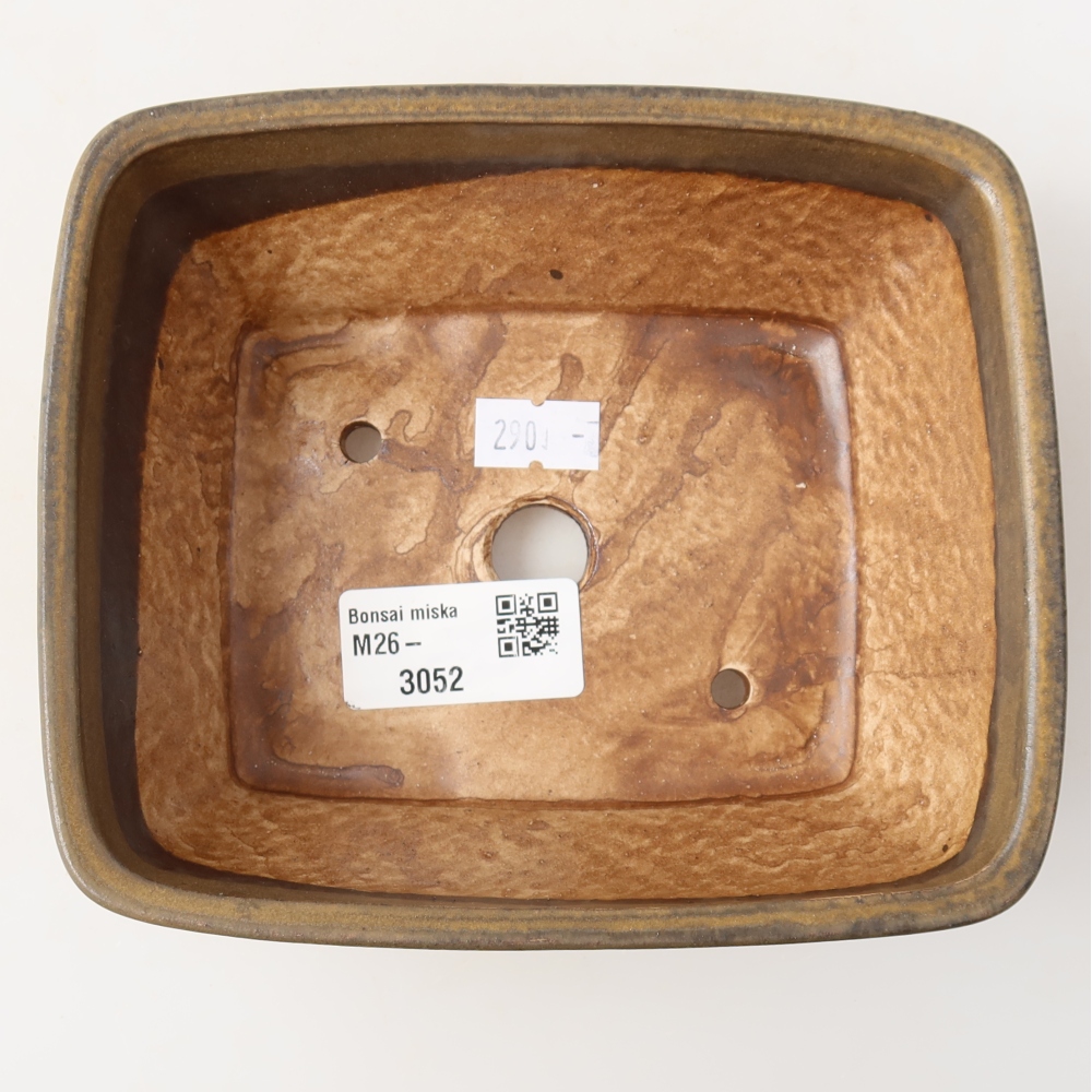 Vaso per bonsai in ceramica 15 x 12,5 x 5,5 cm, colore marrone