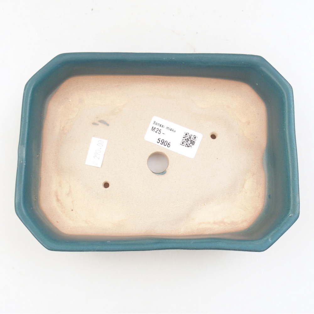 Ciotola bonsai in ceramica 22 x 17 x 5 cm, verde