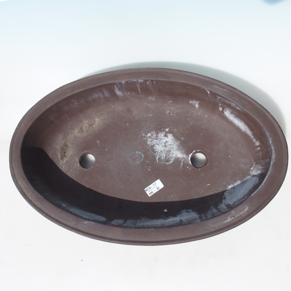 Ciotola per bonsai 59 x 37 x 12 cm - marrone