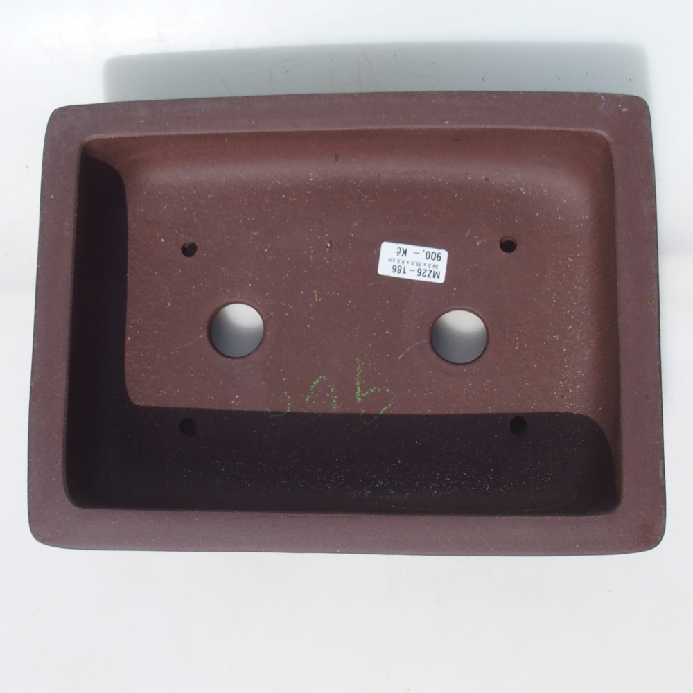 Ciotola per bonsai 34,5 x 25,5 x 8,5 cm betulla marrone