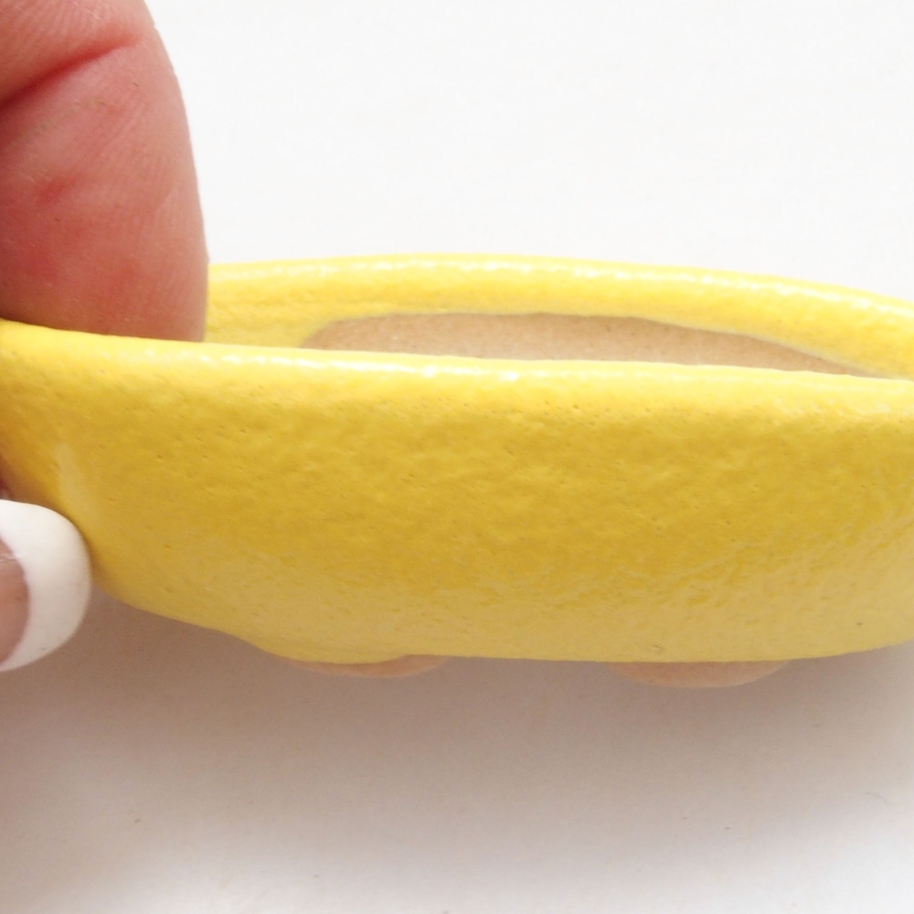 Ciotola per bonsai in ceramica 6,5 x 3,5 x 2 cm, giallo