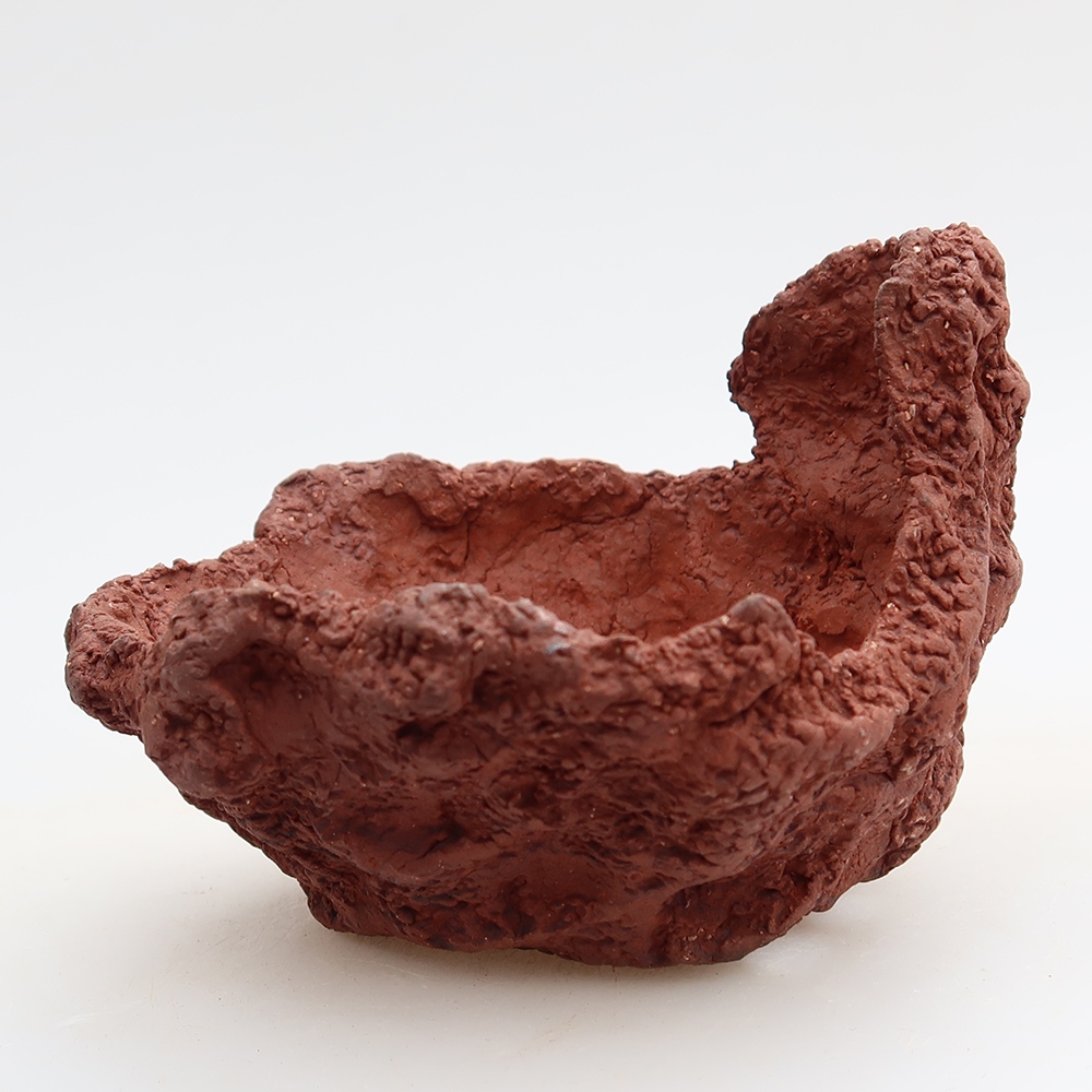 Guscio in ceramica 10 x 8 x 7 cm, colore marrone