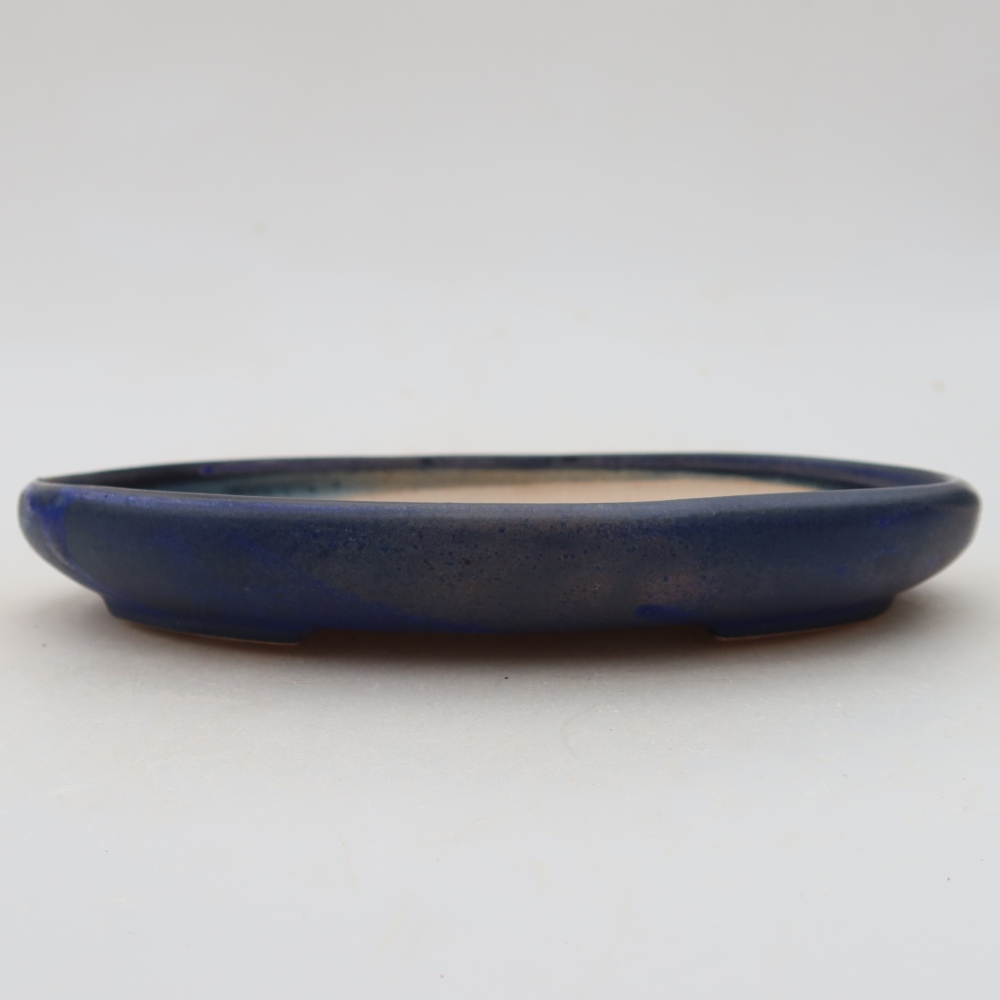 Vaso da bonsai in ceramica 17 x 12 x 2,5 cm, colore blu