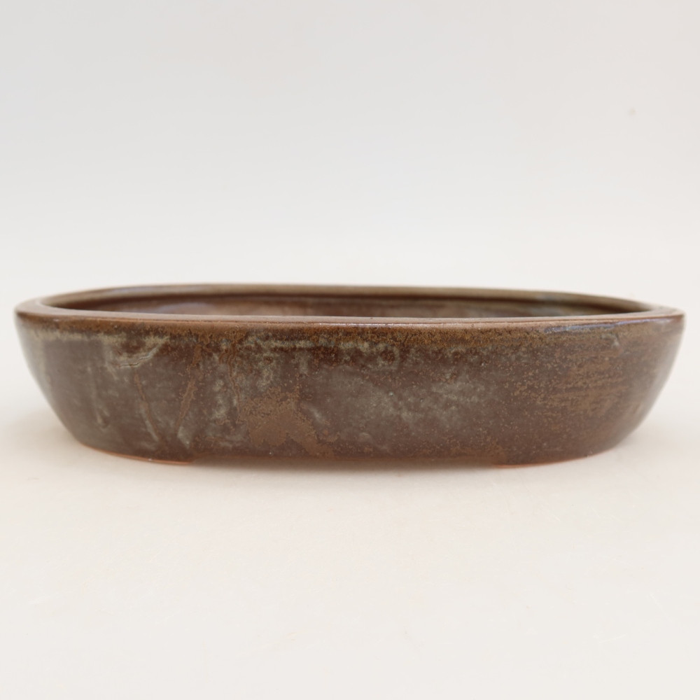 Ciotola per bonsai in ceramica 22 x 17 x 4 cm, marrone