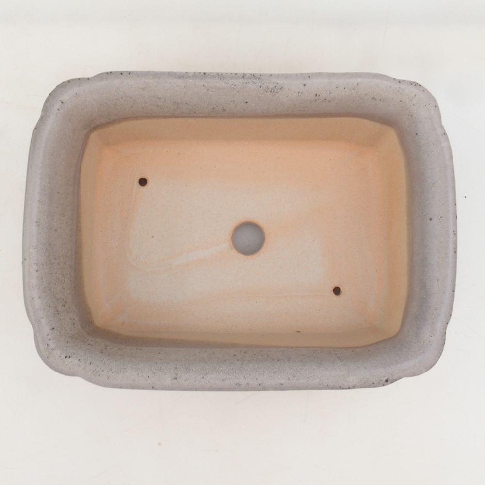 Ciotola per bonsai H50 - 17 x 12,5 x 5,5 cm - beige