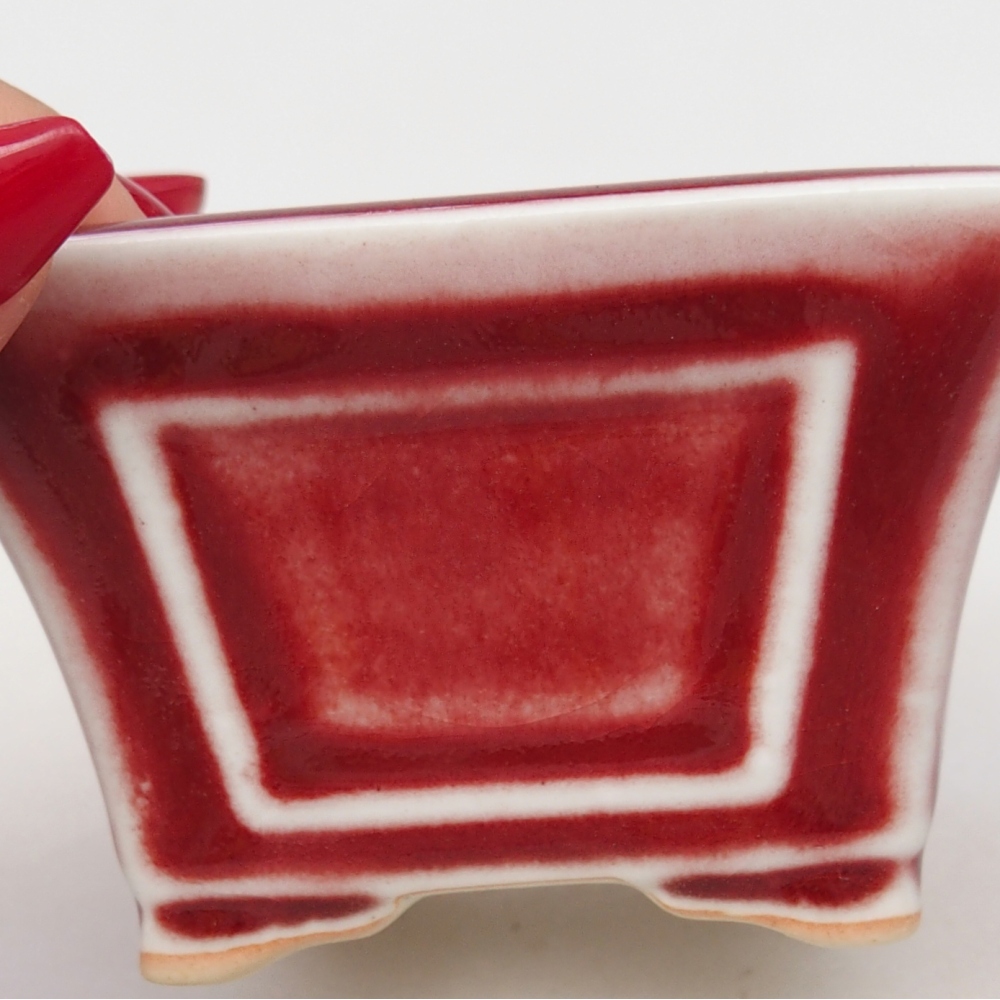 Mini bonsai 8,5 x 8,5 x 6 cm, colore rosso