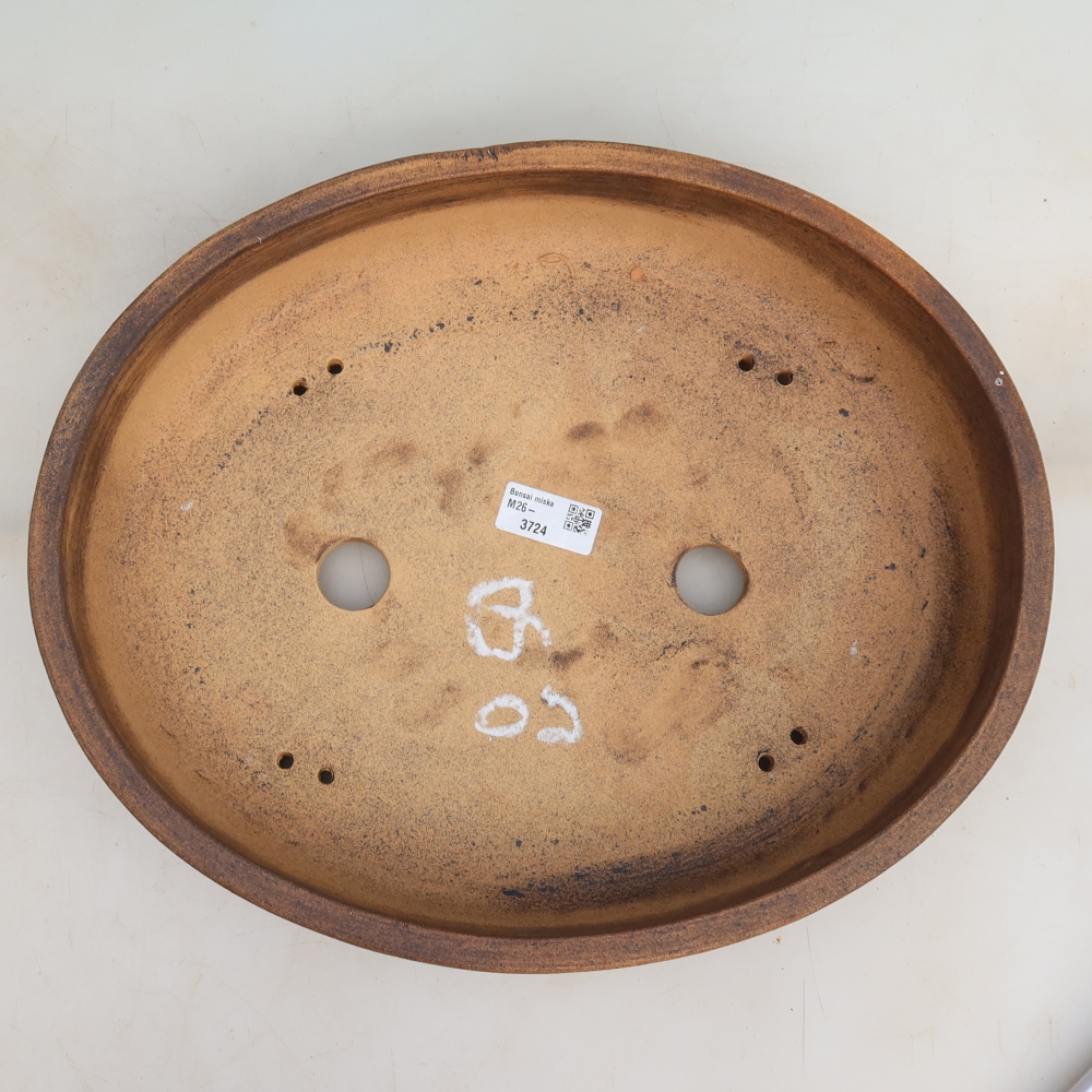 Vaso da bonsai in ceramica 37 x 30,5 x 8 cm, colore marrone