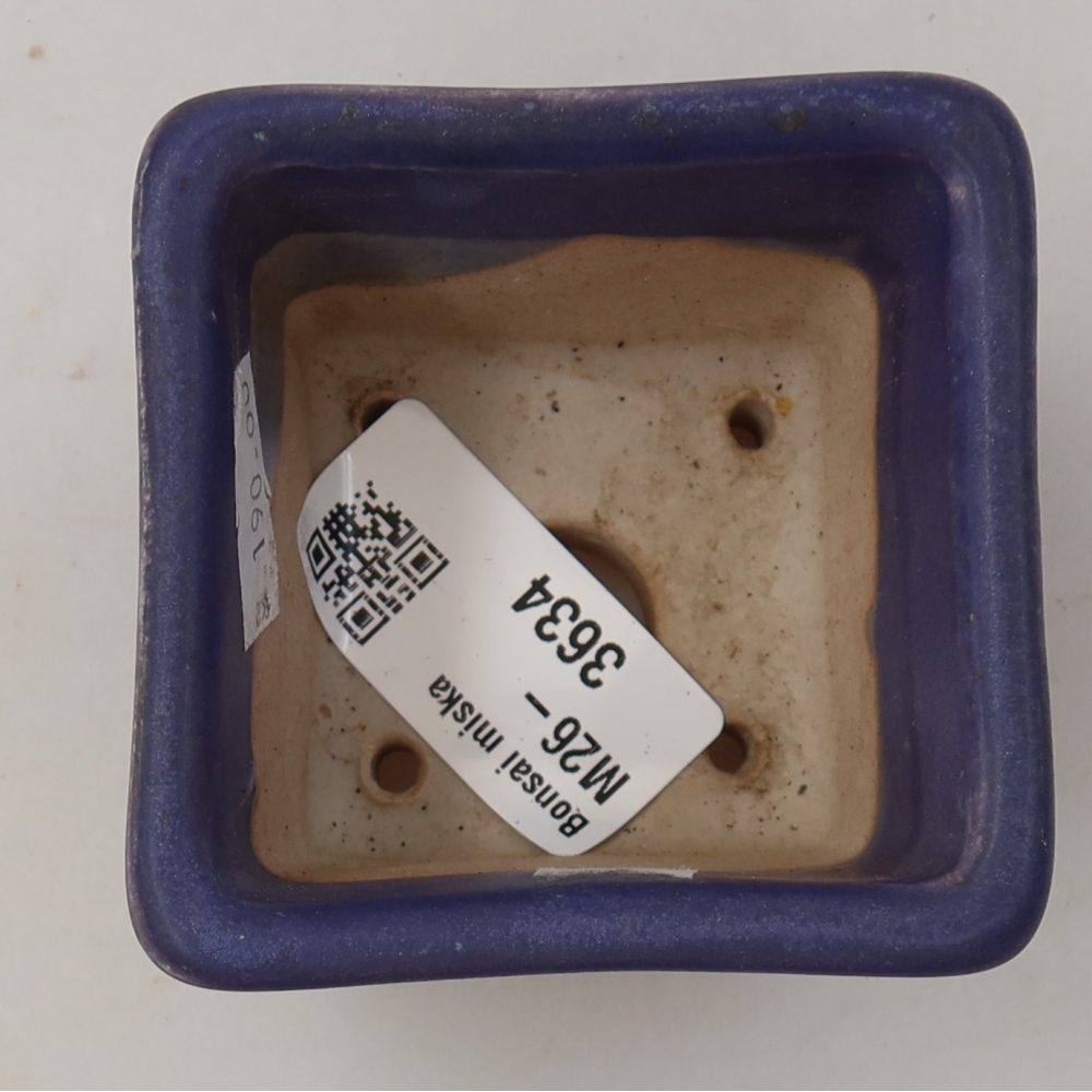 Ciotola per bonsai in ceramica 6,5 x 6,5 x 5 cm, colore viola