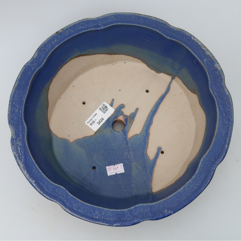 Ciotola bonsai in ceramica 26,5 x 26,5 x 8,5 cm, colore blu