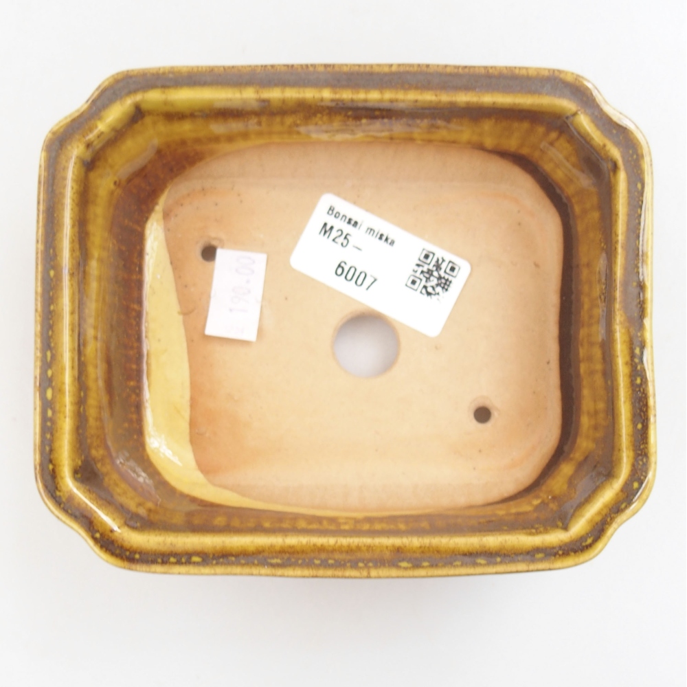 Ciotola bonsai in ceramica 22 x 17 x 5 cm, verde