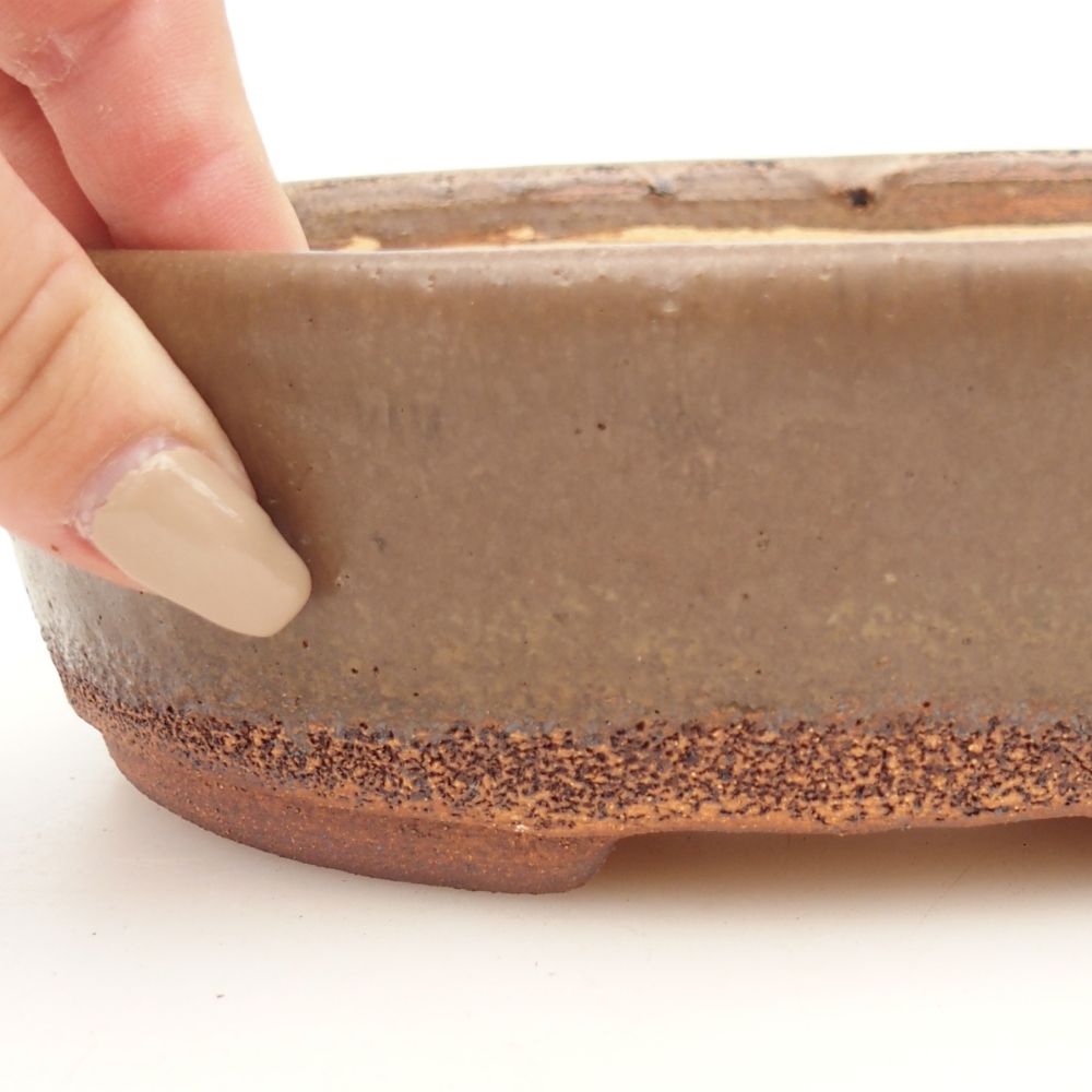 Ciotola per bonsai 19,5 x 16 x 6 cm , colore marrone