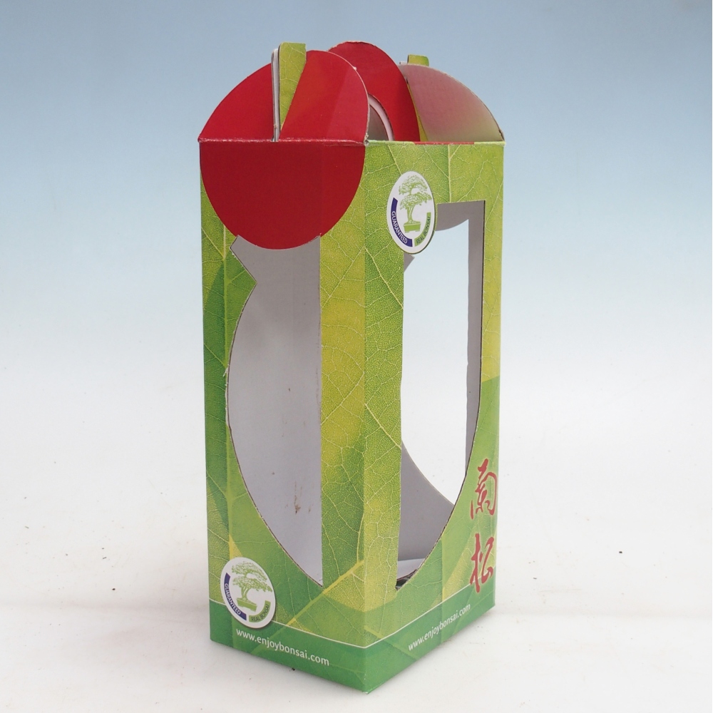 Scatola regalo per bonsai - carta