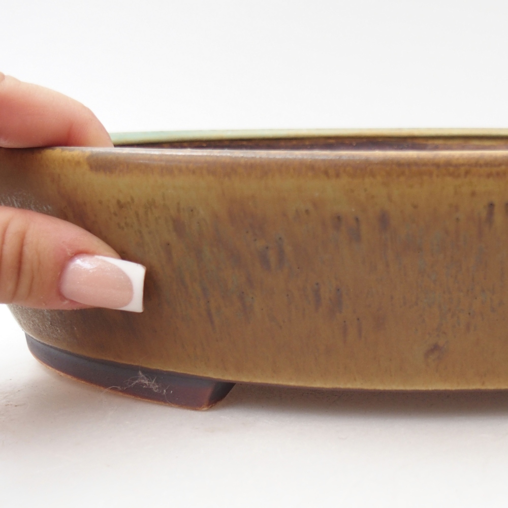 Ciotola per bonsai in ceramica 28,5 x 25 x 6 cm, verde