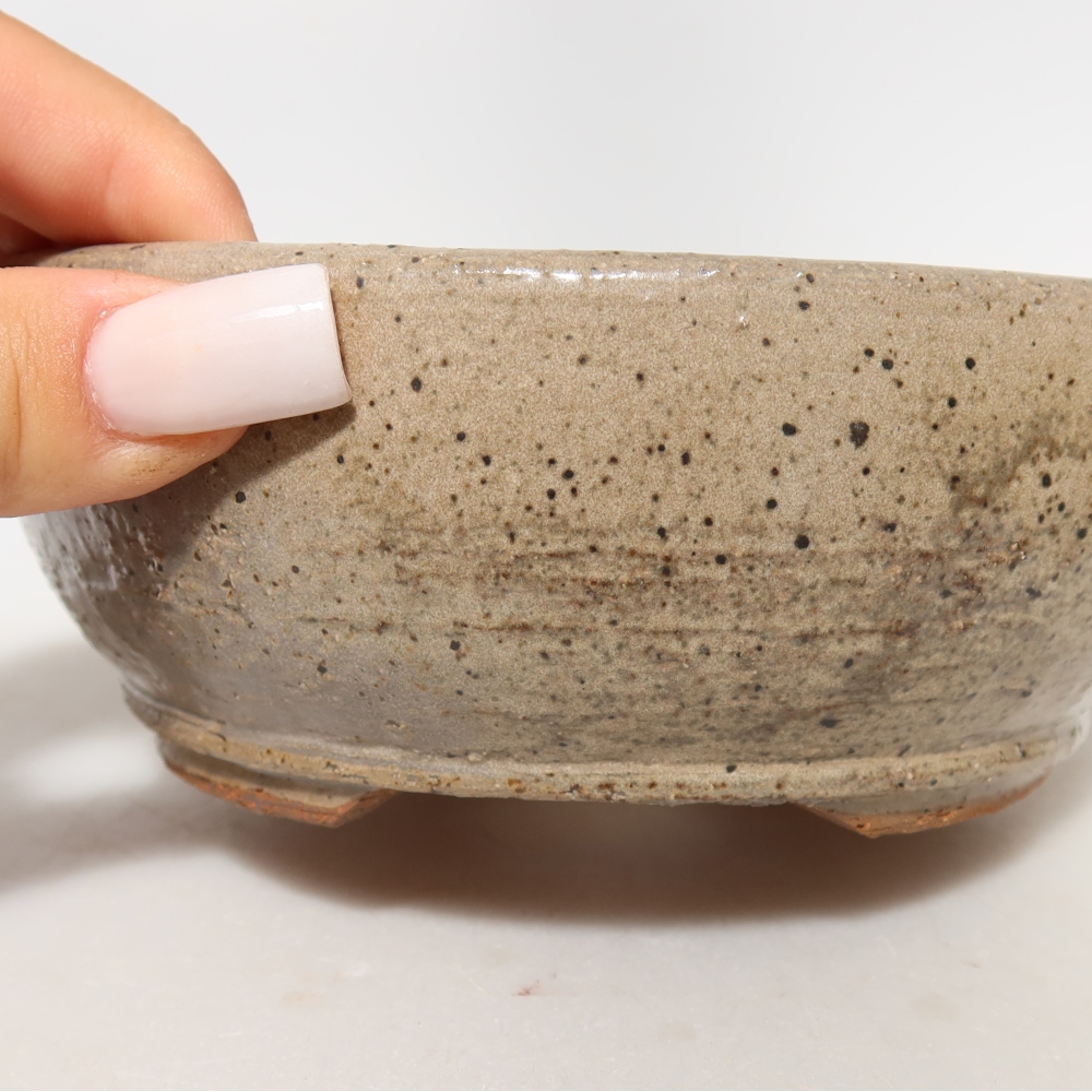 Vaso da bonsai in ceramica 14 x 14 x 5,5 cm, colore beige