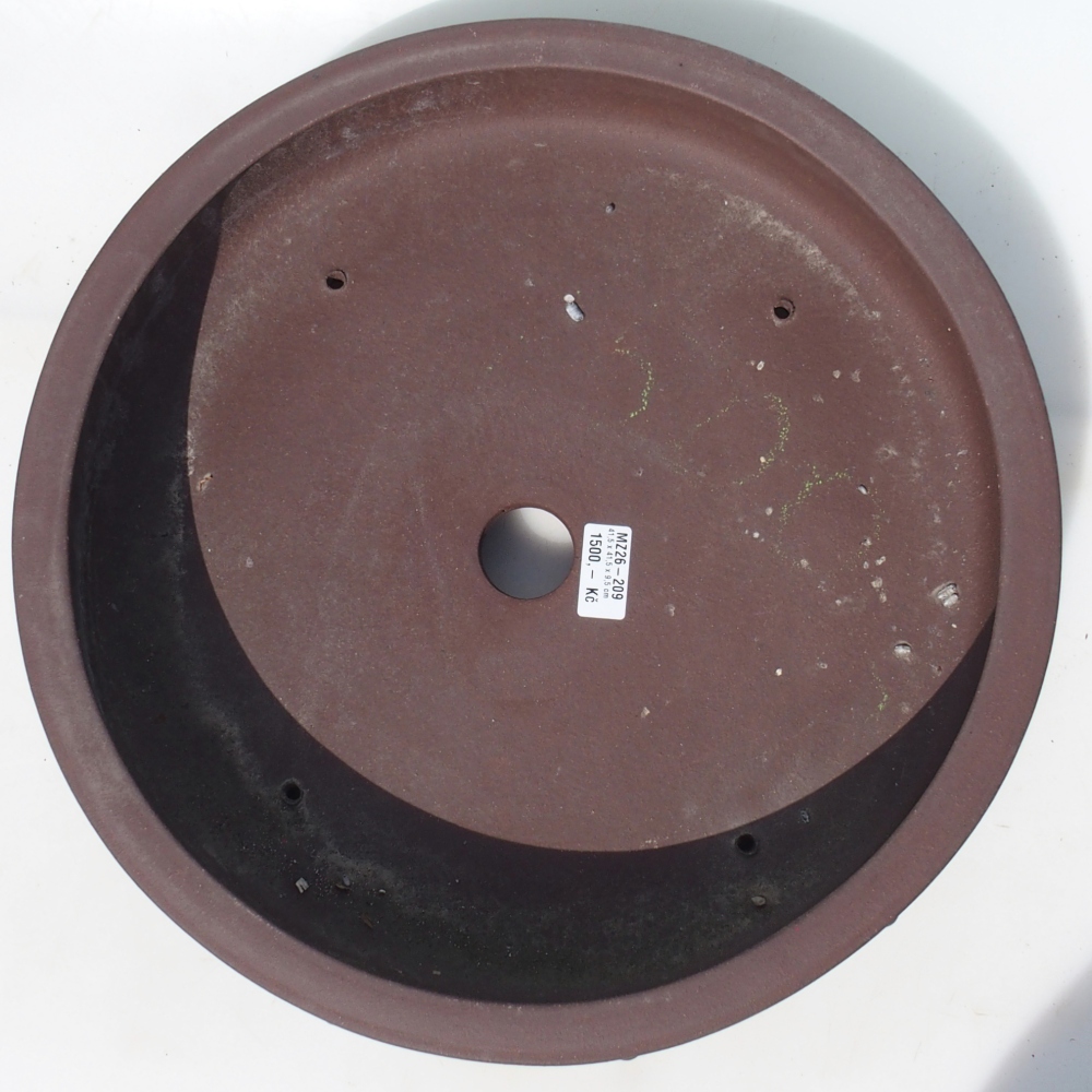 Ciotola per bonsai 41,5 x 41,5 x 9,5 cm - marrone