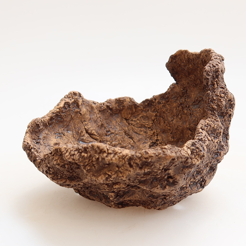 Conchiglia in ceramica 10 x 10 x 8 cm , colore marrone