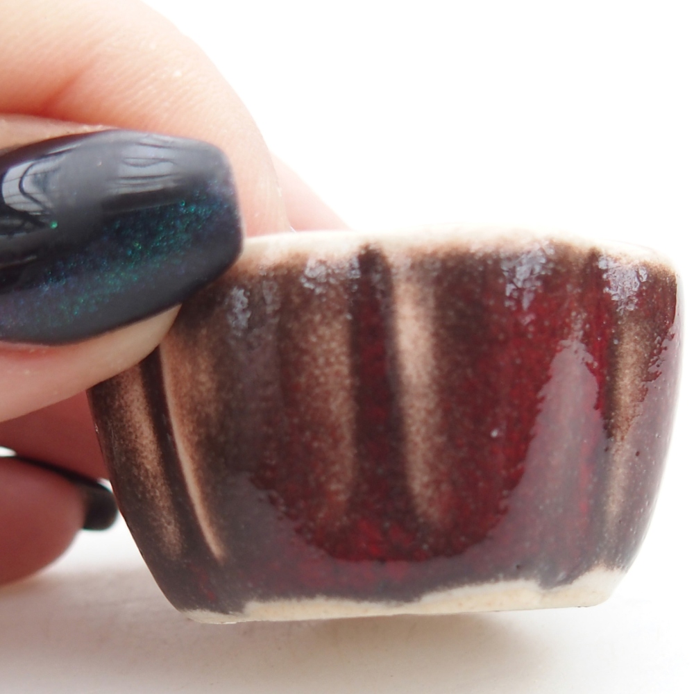 Mini bonsai 4 x 4 x 2 cm, colore rosso