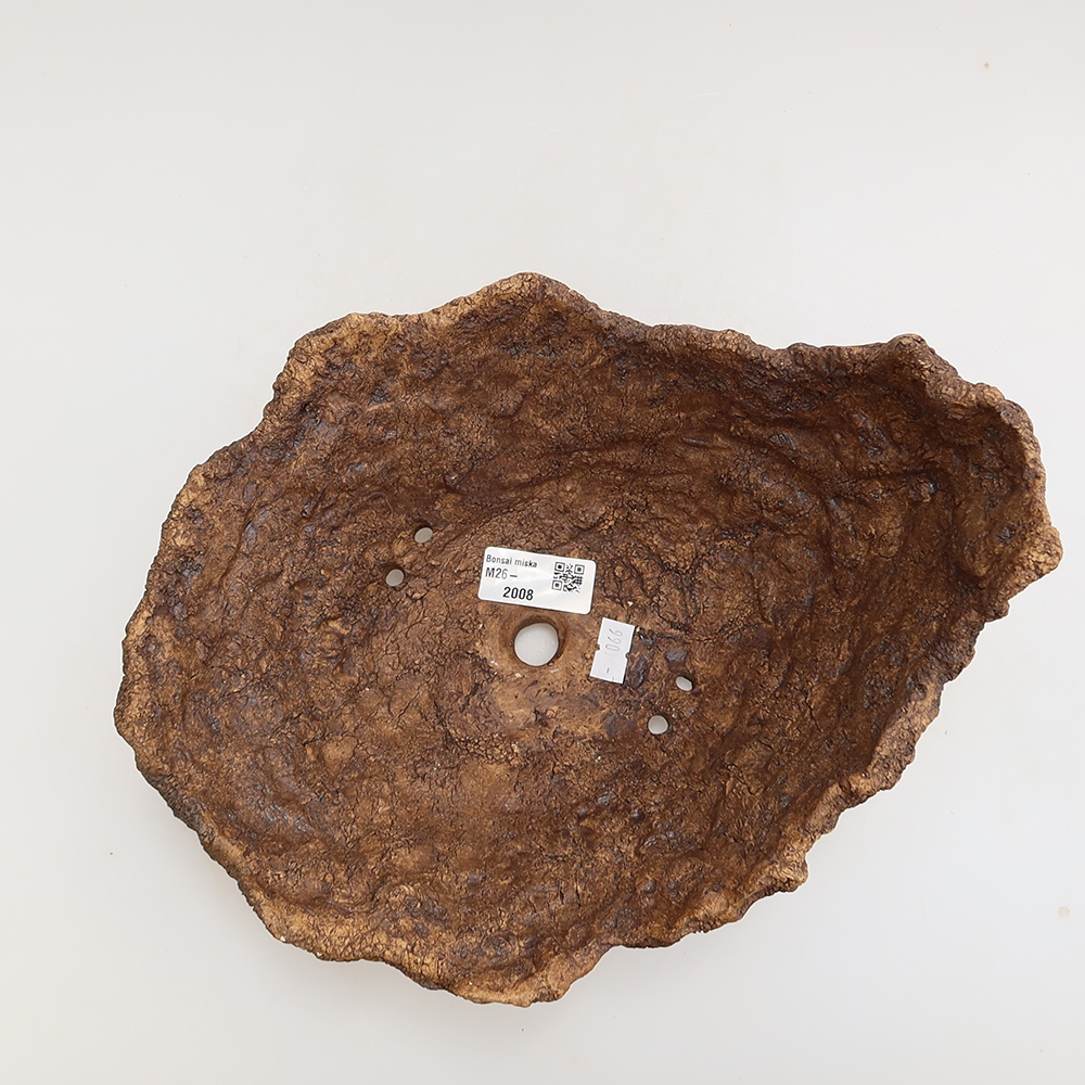 Guscio in ceramica 22,5 x 18 x 16 cm, colore marrone