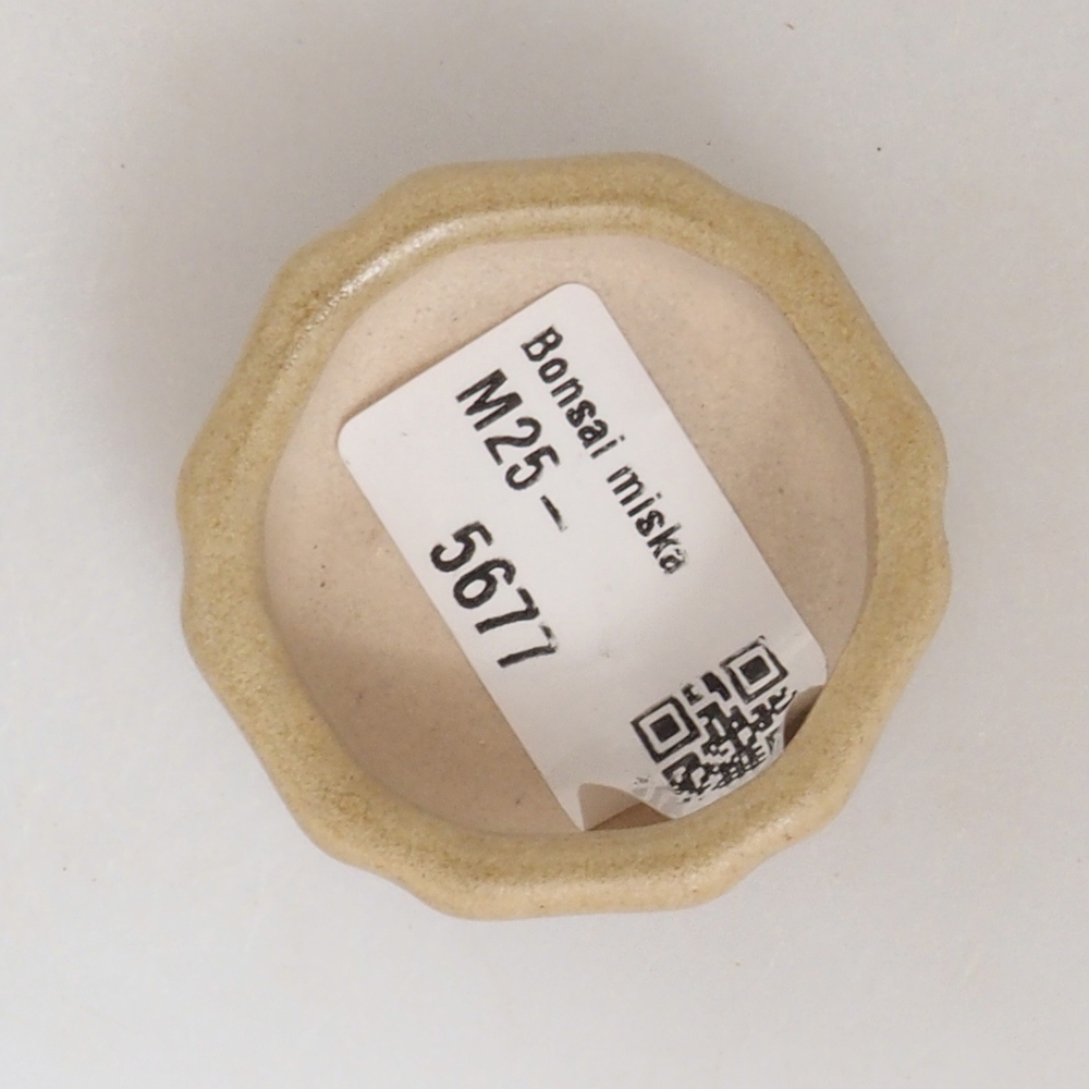 Mini ciotola per bonsai 4,5 x 4,5 x 2 cm, marrone