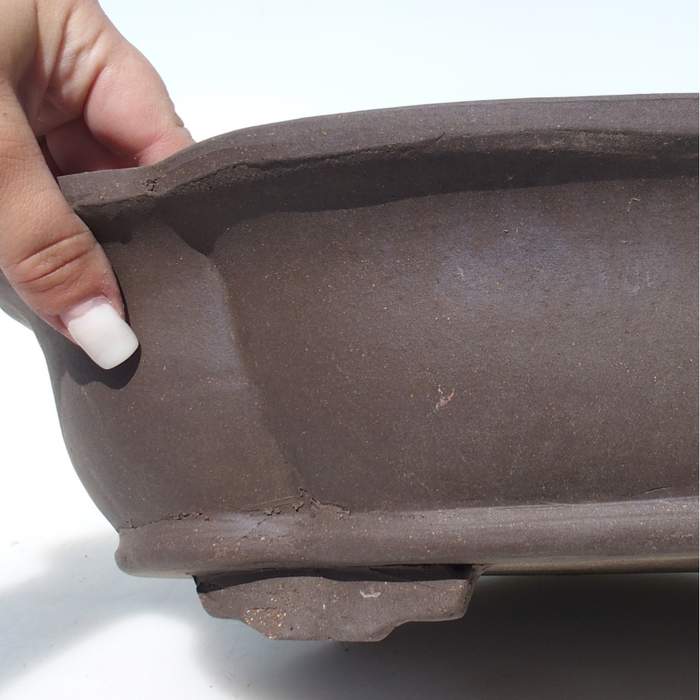 Ciotola per bonsai 40 x 32 x 10,5 cm betulla marrone