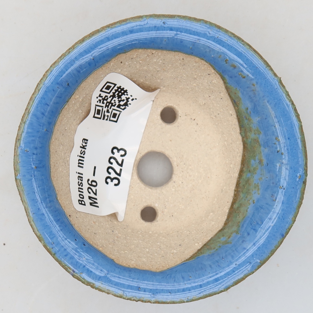 Ciotola bonsai in ceramica 7 x 7 x 3 cm, colore blu