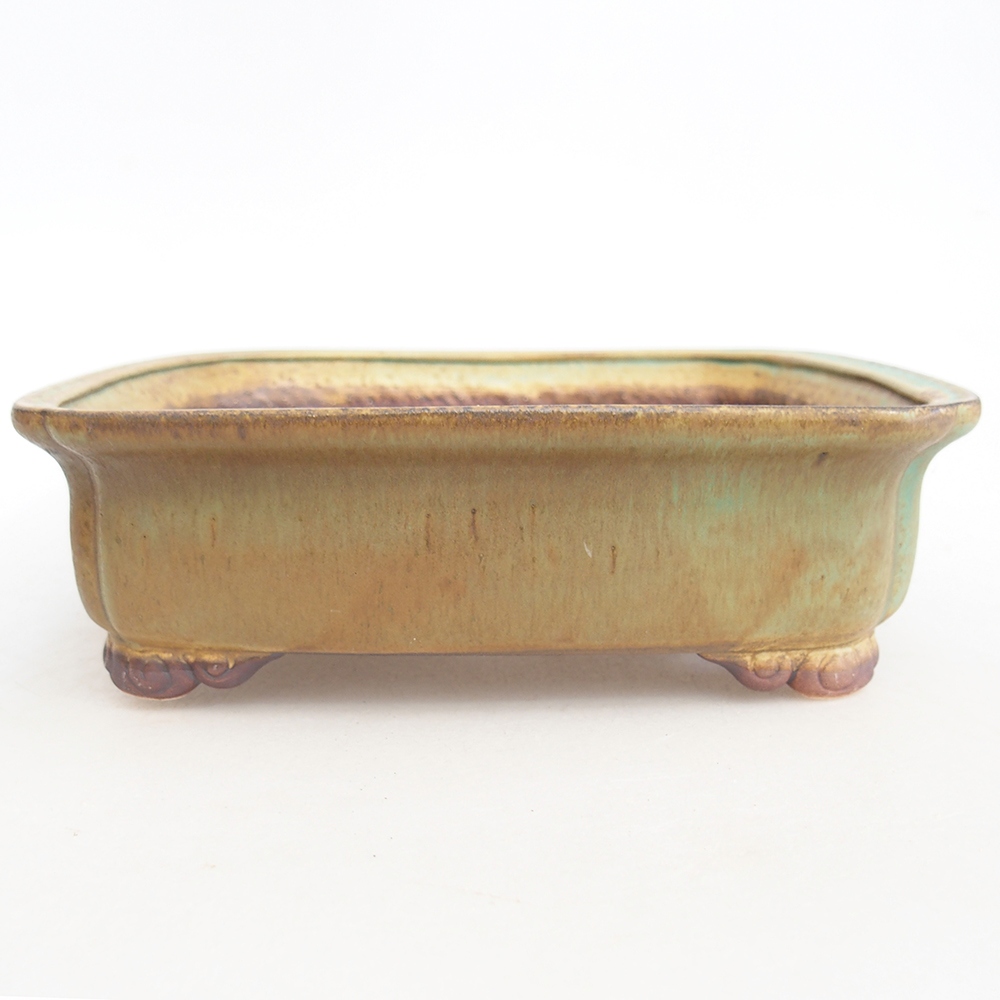 Ciotola per bonsai in ceramica 20 x 17 x 6 cm, verde