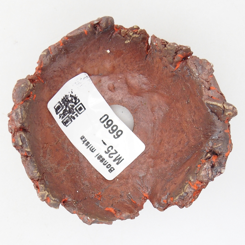 Conchiglia in ceramica 7 x 7 x 4 cm , colore arancione