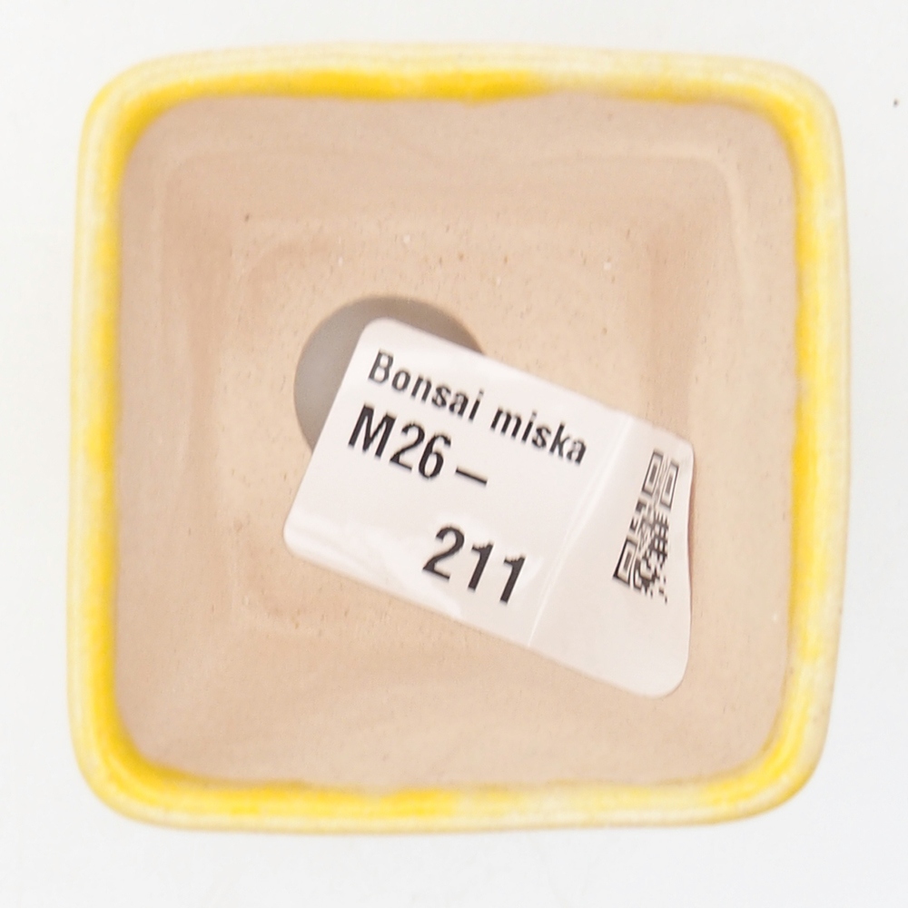Mini bonsai 5 x 5 x 5 cm, giallo